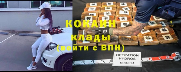 гидра Верхний Тагил